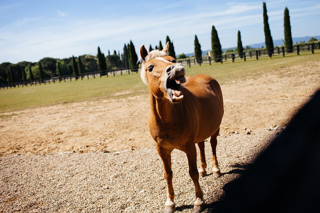 countryside-tuscan-wedding