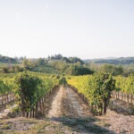 Tuscany-wedding